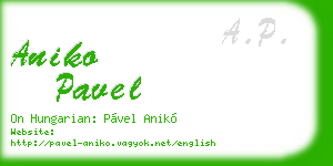 aniko pavel business card