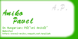 aniko pavel business card